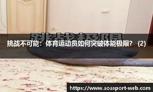 aoa体育官网